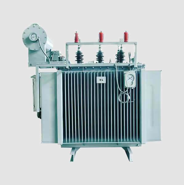 What Is the Dual Purpose of an Oil-Immersed Transformer?