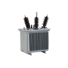 Oil-immersed Transformer