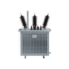 Oil-immersed Transformer