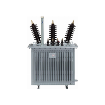 Oil-immersed Transformer