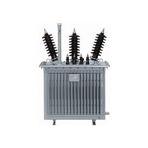 Oil-immersed Transformer