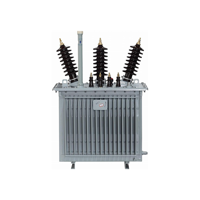 Oil-immersed Transformer