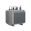 Fully-sealed oil-immersed power transformer