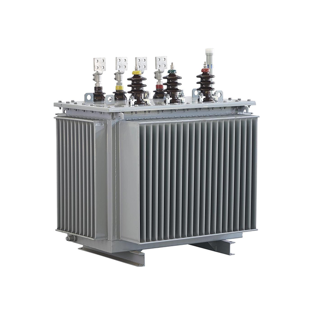 Fully-sealed oil-immersed power transformer