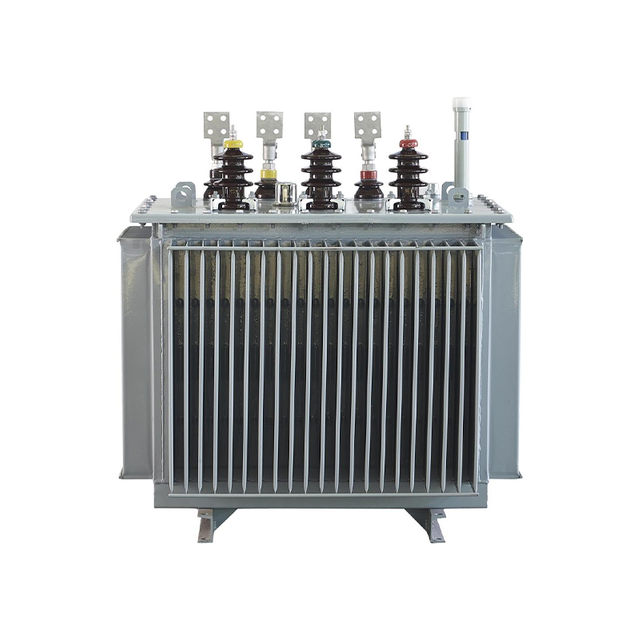 Fully-sealed oil-immersed power transformer