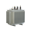 Fully-sealed oil-immersed power transformer