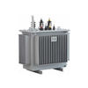 Fully-sealed oil-immersed power transformer