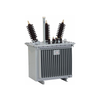 Oil-immersed Transformer